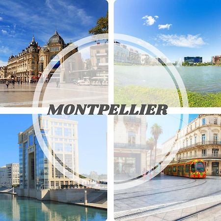 Le Calderini Appart - Face Plage Wifi Et Park Gratuit Calme - Resid Le Surcouf -Top Pros Servicesconciergerie La Grande Motte Εξωτερικό φωτογραφία